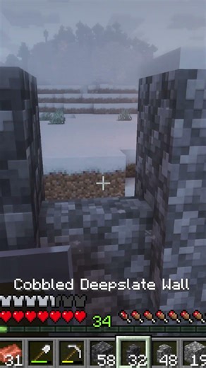 Back to Continuity | Minecraft SMP Shorts