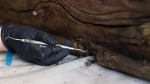 236 reactions · 41 shares | 40 YEARS IN THE MAKING ✨✨ This is a...