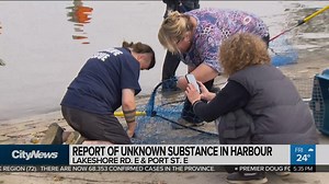 Oil spill contaminates part of Credit River