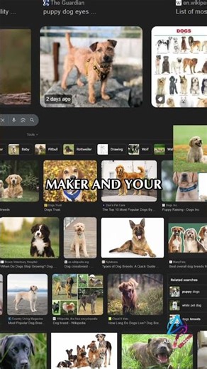 PureRef: Your FREE Secret Weapon for Art Reference! #shorts