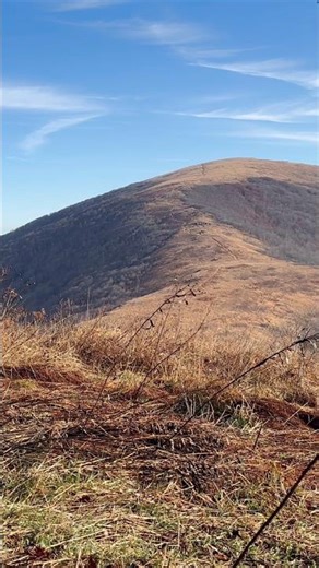 Rate this Poop View from 1-10