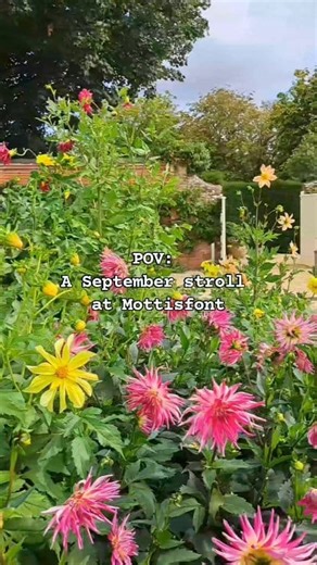 If you were looking for a sign to visit Mottisfont this September… here it is ✨ Video description: A series of clips from Mottisfont, including a garden with a fountain in the middle, swaying branches with green leaves, bright coloured flowers, trees, house exterior, conkers, a running steam, mosaic art, donuts in the cafe. | National Trust London and South East