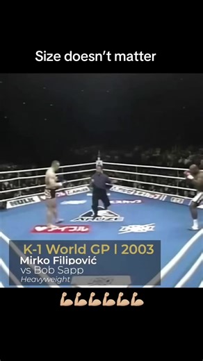 Mirko Cro Cop vs Bob Sapp KO#fighter #sport #kickboxing #knockout #k1