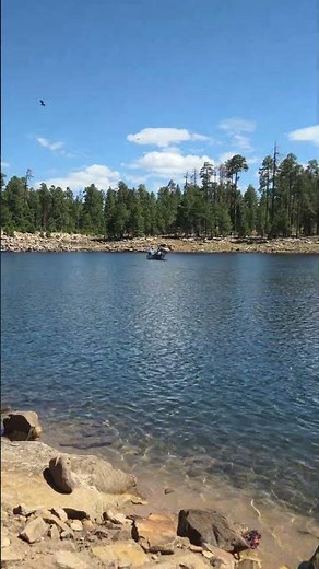 Fishing on Arizona's Mogollon Rim Willow Springs Lake #arizona #fishing