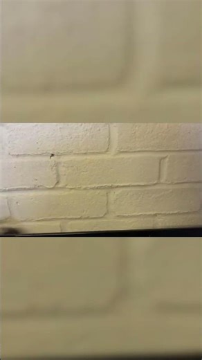 This Shelf Trick Saves Hours #DIY #Shelving #Hacks