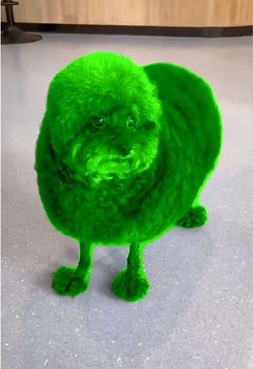 Funny Dog Memes Featuring Alien and Weird Pets