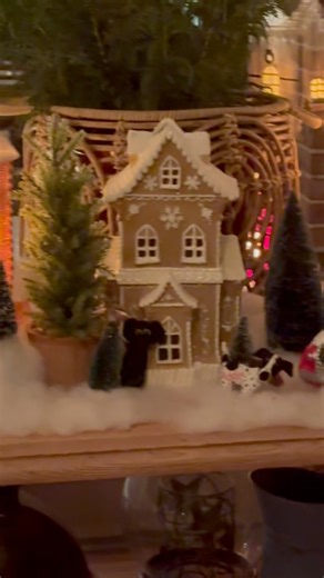 3.2K views · 99 reactions | From our Pink Zebra family to yours, we wish you a holiday filled with joy, love, and cozy moments. ✨ Merry Christmas and thank you for letting us be a part of your home this season!  | Pink Zebra Home | Facebook