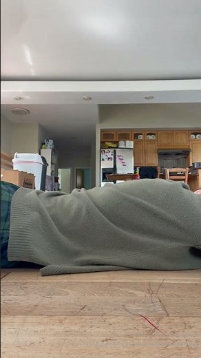 Cracking back with foot + more #backcracking #chiropractic