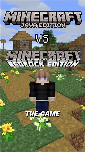 WHY MINECRAFT JAVA AND BEDROCK SEEDS ARE SO DIFFERENT! #minecraft #java #bedrock