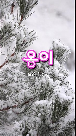 #옹이 #나운도 #옛노래 #트롯 #옛날노래 #옛날가요 #트로트 #트롯