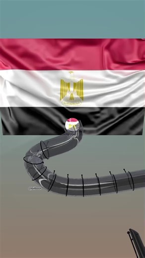 🇪🇬✨ Pride, glory, and history! Here is the national anthem of Egypt — a majestic song that carries the legacy of an ancient and great civilization. Let this melody honor the spirit of Egypt ❤️🎶 Share if Egypt lives in your heart 🇪🇬🔥 #Egypt #EgyptianPride #NationalAnthem #EgyptStrong #CultureOfEgypt