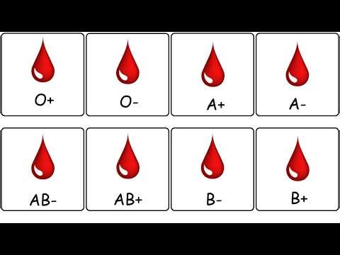 The Hidden Meaning of Every Blood Type