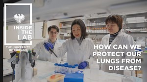 147 reactions · 13 shares | How can we protect our lungs from...
