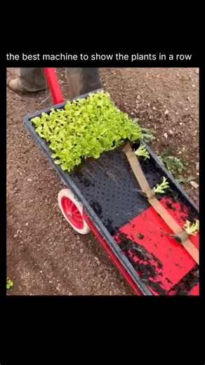 factotied on Instagram: "The Paperpot Transplanter revolutionized small-scale farming with one simple advantage: speed. Instead of hours of back-breaking hand planting, farmers can set entire rows of seedlings in minutes while standing upright. Less fatigue, faster planting, and easy scaling without extra labor. Many small farms now reach $5,000+ market days just by streamlining their workflow. Proof that one smart tool can completely change how farming gets done."