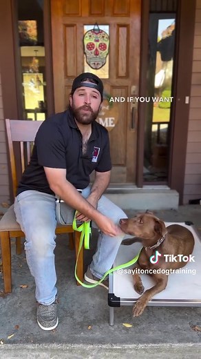 Calm Your Reactive Dog with These Simple Techniques