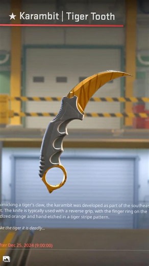 Karambit (★) Tiger Tooth | CS2