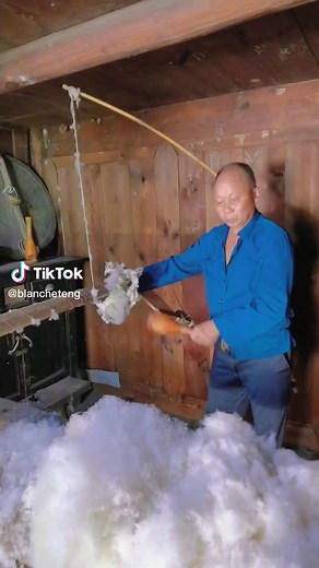 Efficient Sheep Shearing Techniques for Beginners