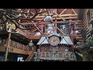 Live From Great Wolf Lodge - Wisconsin Dells