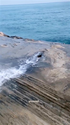 Canyon Clapper 6 #memes #meme #funny #comedy #humor #lol | Jonny Englsh