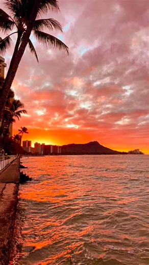 milimili Hawaii(Official) on Instagram: "Have a wonderful Day 🧡🧡🧡 📍Waikīkī milimiliのブログは、プロフィールページのリンクよりご覧ください🌺→@milimili_hawaii * #ハワイ #ワイキキ #ハワイグルメ #ハワイショッピング #ハワイツアーガイド #ハワイ移住 #ハワイライフ #ハワイ情報 #ハワイアン #ハワイ好きな人と繋がりたい #ハワイに行きたい #luckywelivehawaii #幸運が満ちあふれるスピリチュアルハワイ #milimiliphotography #milimili_hawaii #hawaiistagram #beachday #hawaiilife #ハワイの海 #海が好きな人と繋がりたい 💙 #oceanvibes #sunriselover #ワイキキビーチ #waikikibeach #maikailoafoods #plantbased #fermentedfoods @milimili_hawaii @maikailoa