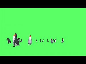Super Cute Animated Penguin Flock Walking on Green Screen Effect Royalty Free