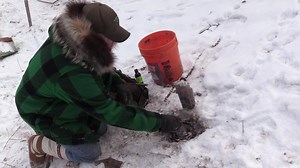 9.9K views · 87 reactions | red fox catch and urine post reset on hills | Dunlap LURES | Facebook