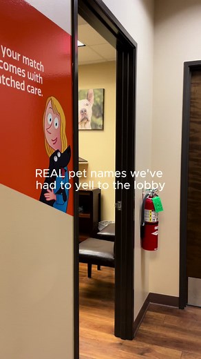 Creative Pet Names That Will Make You Smile