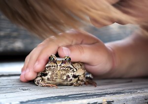 18 Books about Frogs & Toads for Kids with Autism