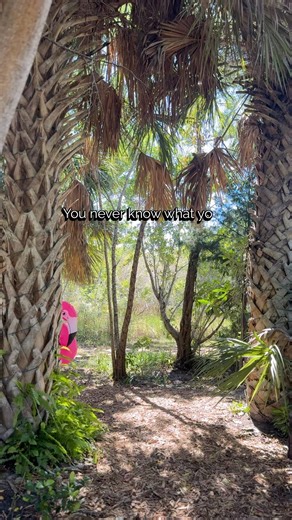 15 reactions | It’s true - you never know what you’ll see at the ELC. Come out this weekend and take advantage of the incredible weather. We are open 8-4 PM on weekends! | Environmental Learning Center | Facebook