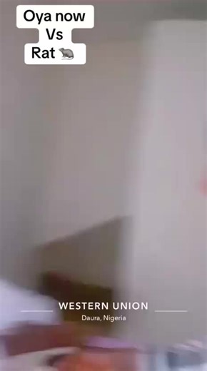 Autan Arts (@autan_arts_230)’s videos with original sound - Autan Arts