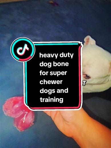 Heavy Duty Dog Bone for Super Chewers