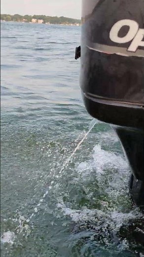 '08 Optimax 150 problem