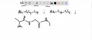 SOLVED:Draw the structures of two of the tripeptides that can be formed from alanine, glycine, and cysteine.