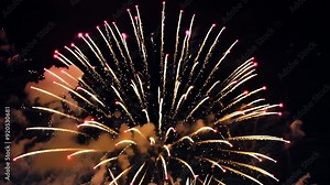 Stunning vertical firework display lights up the night sky at the summer festival