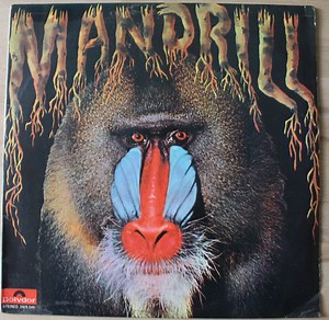 Mandrill - Mandrill