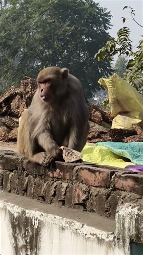 use mod Se Ham bhi gujre hain.