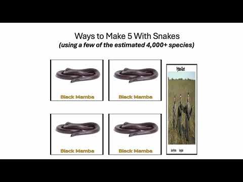 Fun With Numbers by Adding Ways to Make 5 With Snakes #2