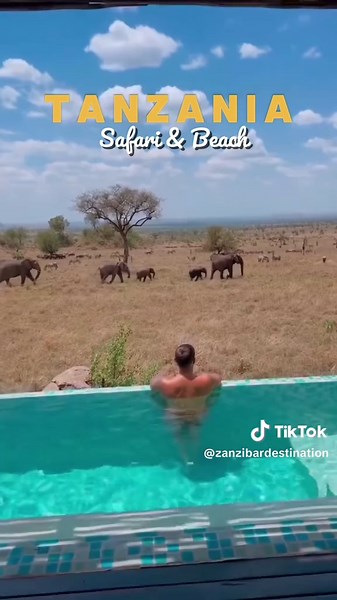 Safari y Playa en Tanzania: Aventura y Relax