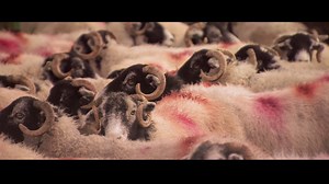 246K views · 4.7K reactions | There's no place like home. Happy Yorkshire Day. | BBC Yorkshire | Facebook