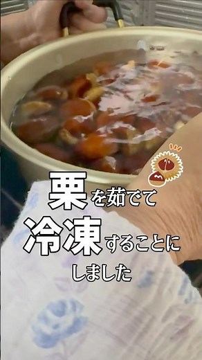 採れた栗を茹でて冷凍することにしたばあちゃん #shorts