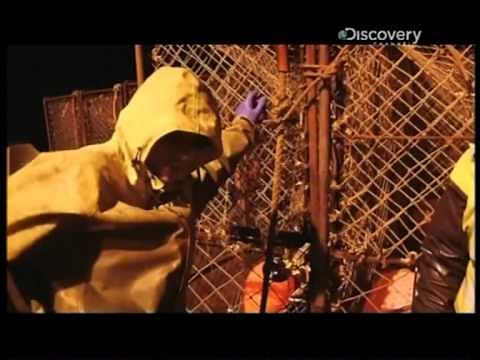 Pesca Radical - Muerte en alta mar - Discovery Channel España