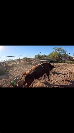 #rodeo #bullfighter #arizona | Rodeo