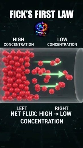 🧪 Understanding Fick’s First Law of Diffusion | NexiQa