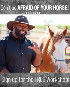 67K views · 362 reactions | Dear Steady Horse Friends and Family,...