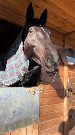 Megan grace mccormick (@megangrace_2002)’s videos with original sound - Corinne