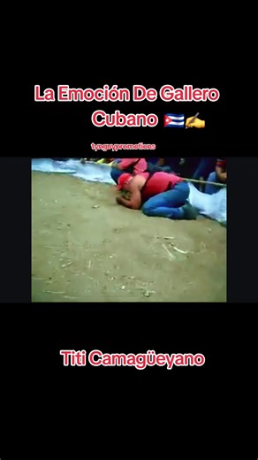 Exploring La Emoción De Gallero Cubano