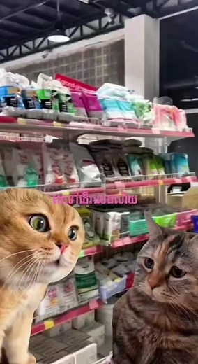 The Cake Supply Shop នៅលើ TikTok