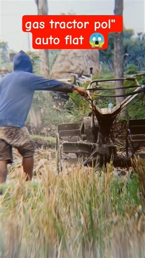 The Process of Preparing Rice Fields Using a Tractor#youtubeshorts #tractor #machine#farming
