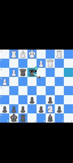 Checker brilliant moves