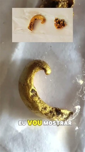 Você já tinha visto uma pepita de ouro assim?
